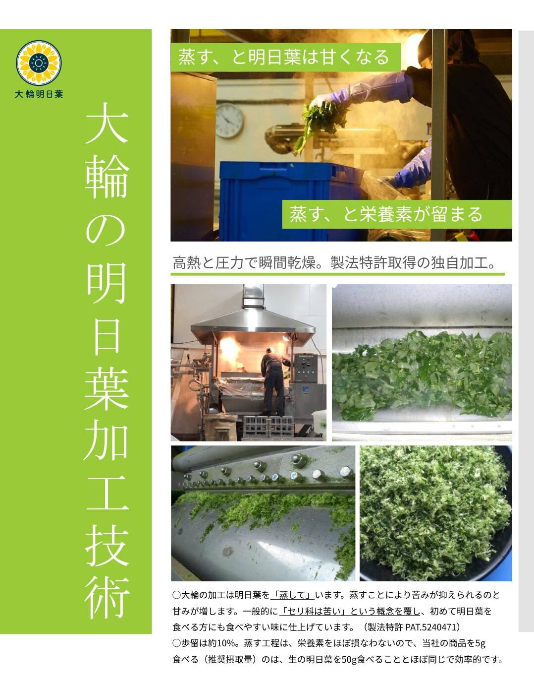 明日葉香港|日本製烘焙茶包|明日葉養生排毒系列-大輪明日葉